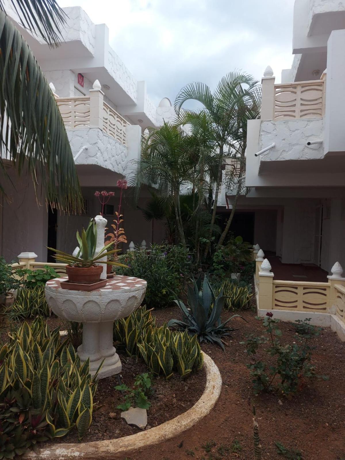 Апартаменты Casa Papagayo Арона Экстерьер фото